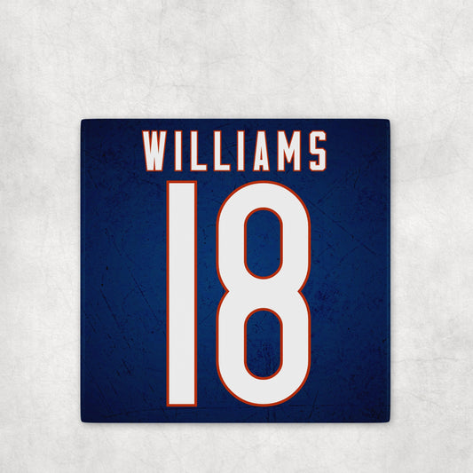 Chicago Bears Jersey Inspired Coasters