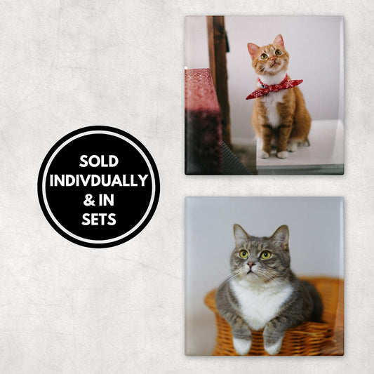 Custom Pet Photo Coasters