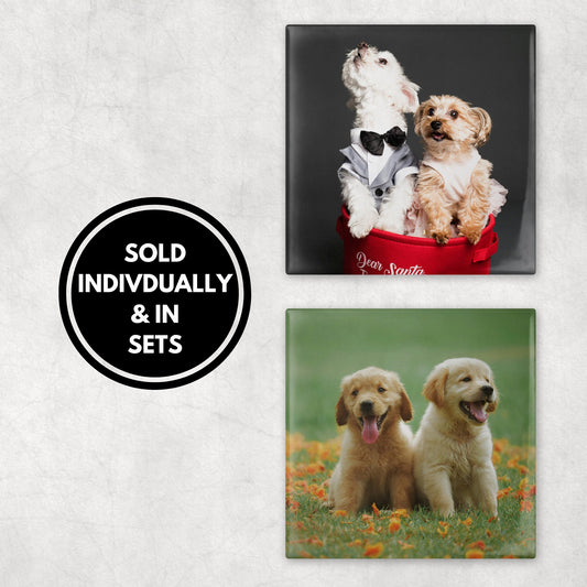 Custom Pet Photo Coasters